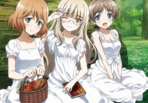Strike Witches: Operation Victory Arrow BD Subtitle Indonesia