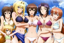 Sekirei BD Season 1 dan 2 Batch Subtitle Indonesia