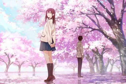 Kimi no Suizou wo Tabetai BD Subtitle Indonesia