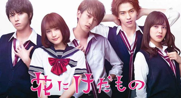 Hana ni Kedamono Live Action (2017) Subtitle Indonesia