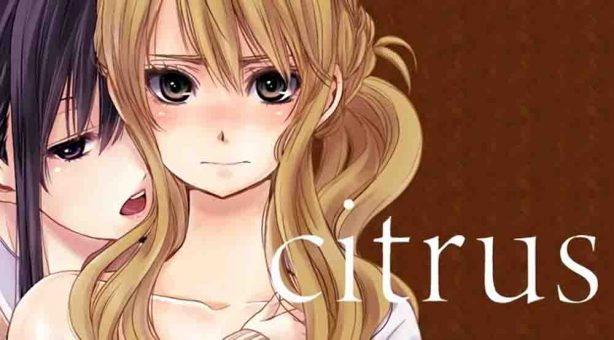 Citrus BD Batch Subtitle Indonesia