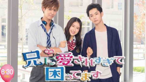 Ani ni Ai Saresugite Komattemasu Live Action (2017) Subtitle Indonesia